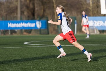 Bild 371 - wBJ Hamburger SV - Hertha BSC : Ergebnis: 2:1